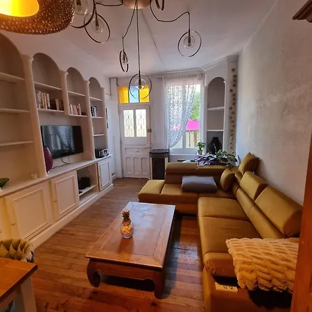 Maison Charmante, Annees 30 Avec Exterieur A Grenoble, Ile Verte