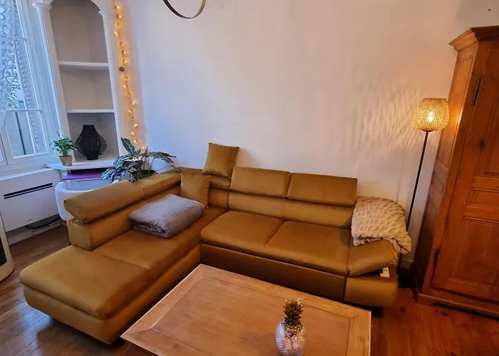 Maison Charmante, Années 30 Avec Extérieur à L'ile Verte * Grenoble